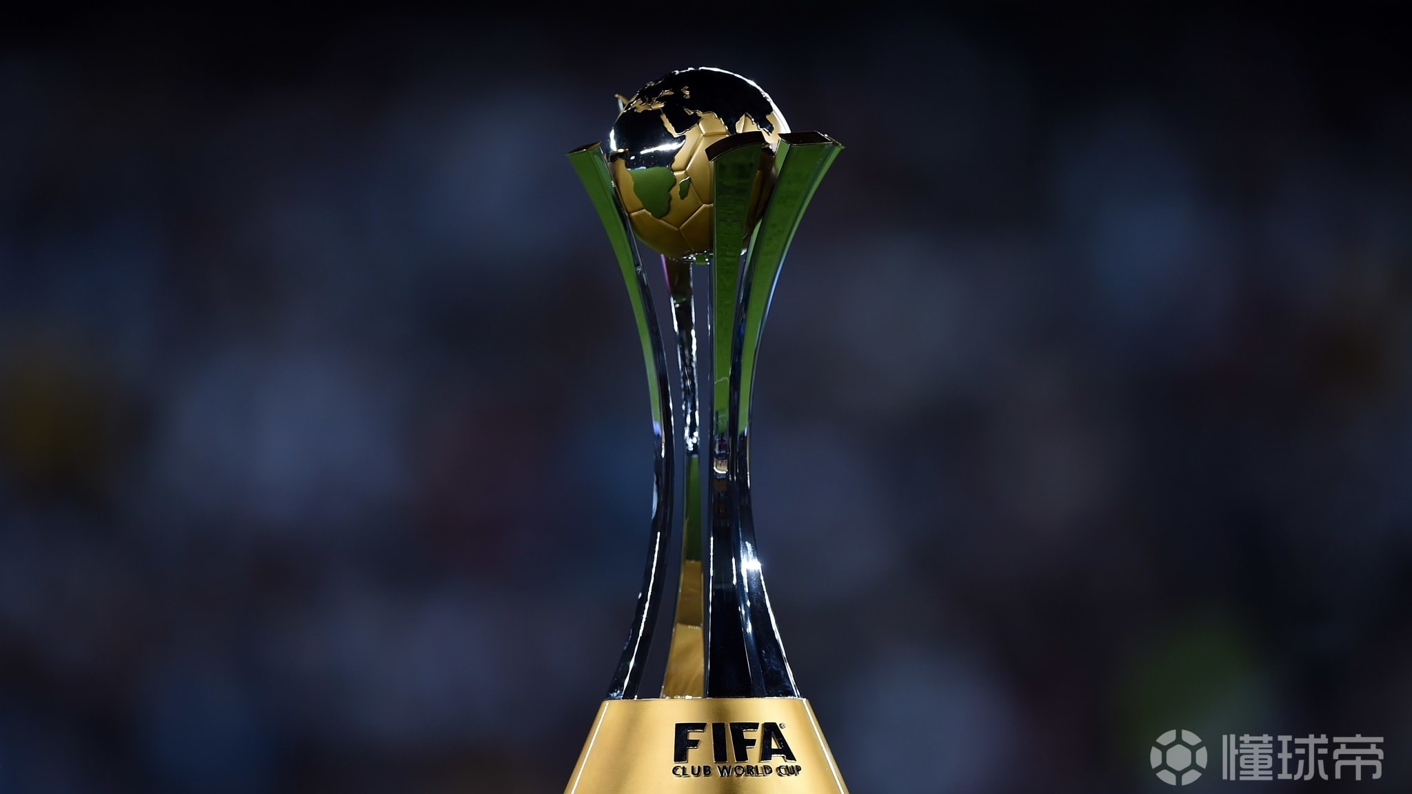 届世界杯